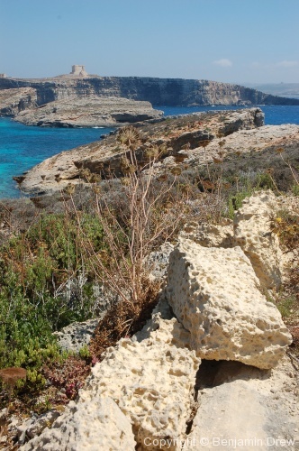 Malta - Photo 7